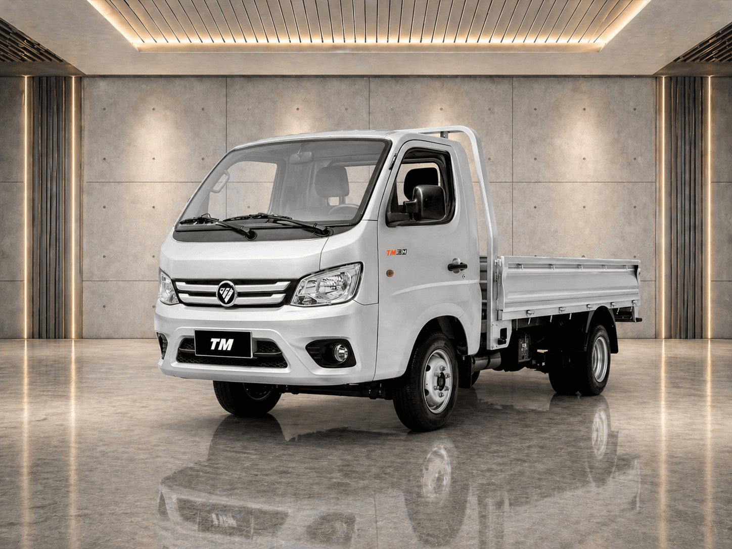 2025 FOTON Truck Mate 3