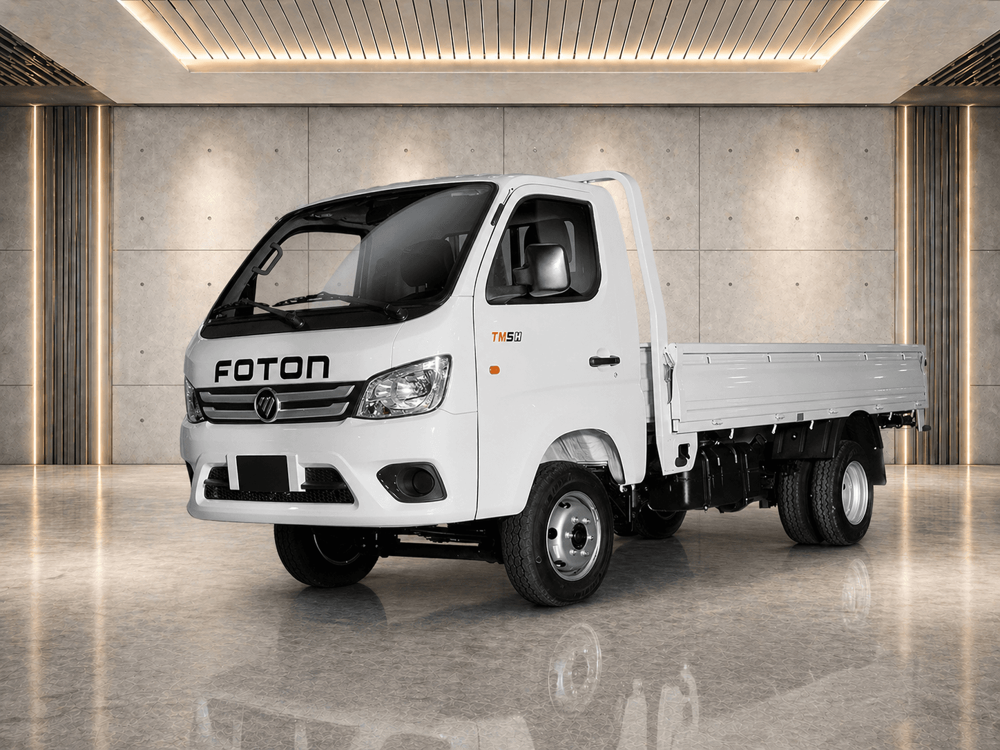 2025 FOTON Truck Mate 5